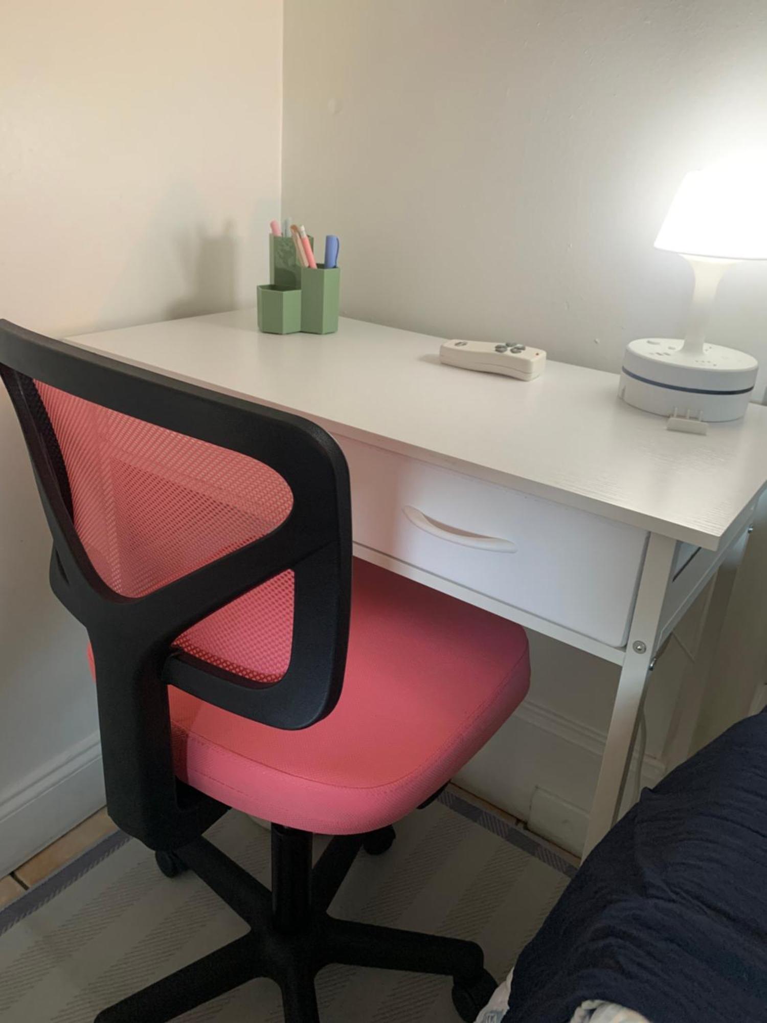 Mini Studio: 10 Min/Siesta Key/Private Entrance/ 萨拉索塔 外观 照片